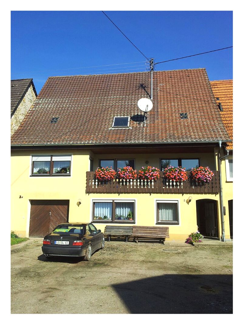 bild1.jpg